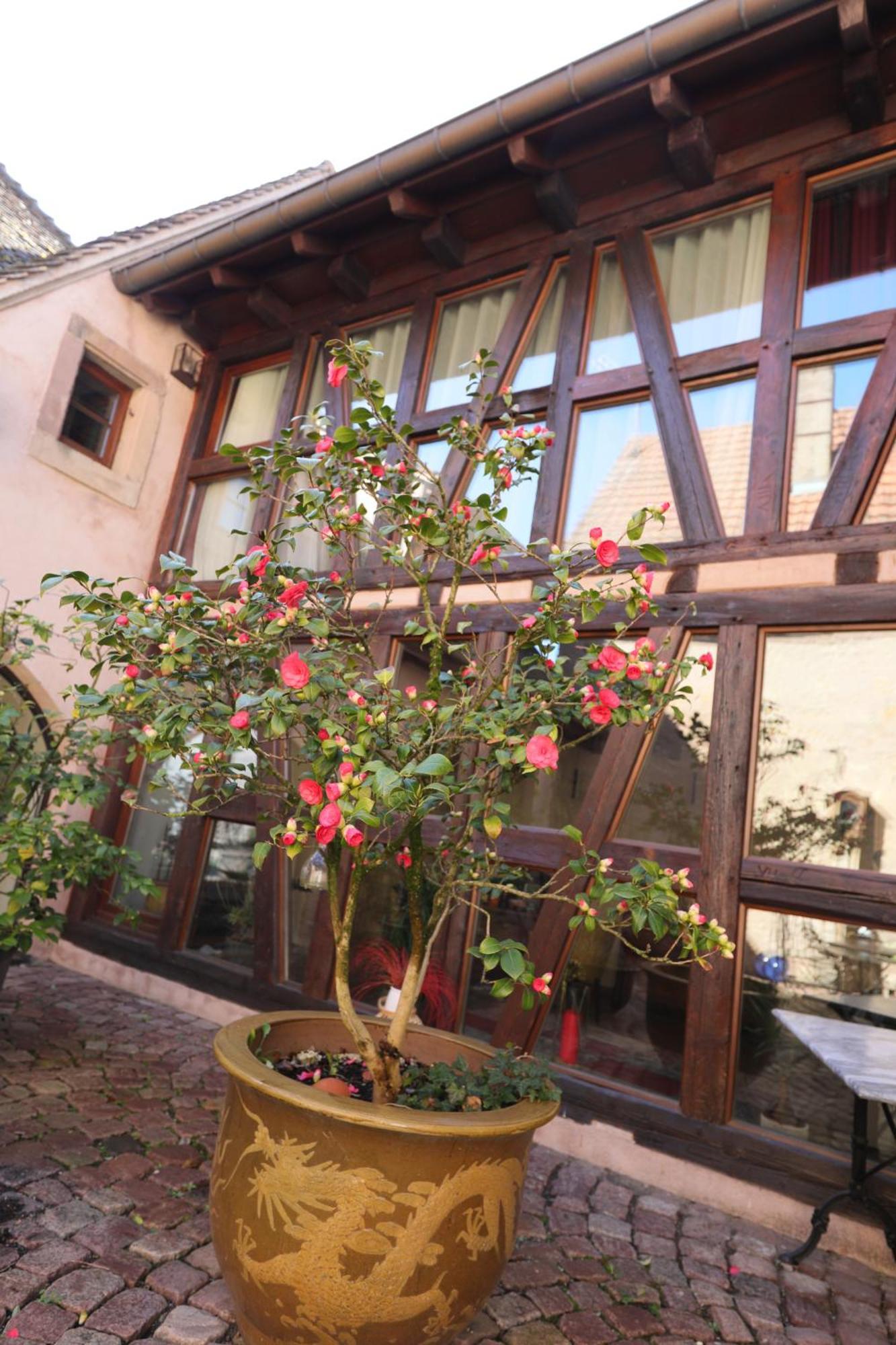 La Tour Des Fees-Spa Mittelbergheim Exteriér fotografie